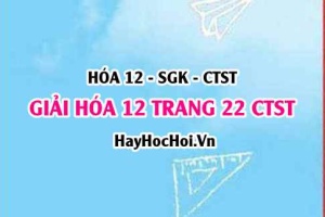 Giải Hóa 12 trang 22 Chân trời sáng tạo SGK